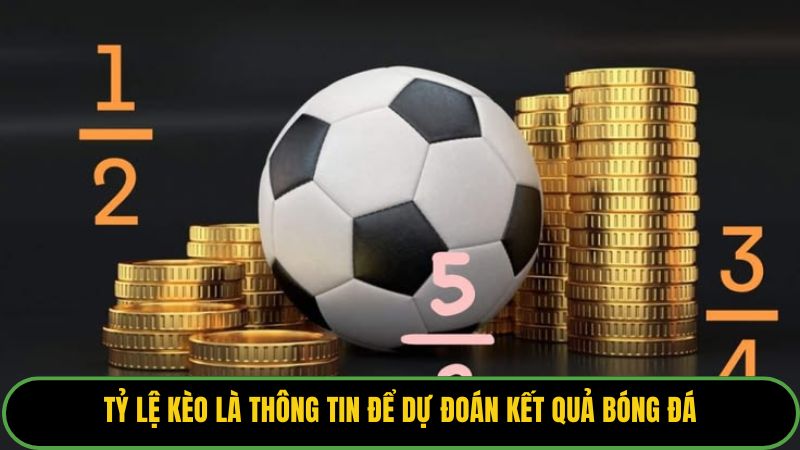Tỷ lệ kèo là thông tin để dự đoán kết quả bóng đá