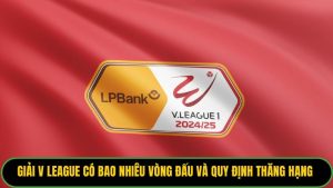 Giải V League Có Bao Nhiêu Vòng Đấu