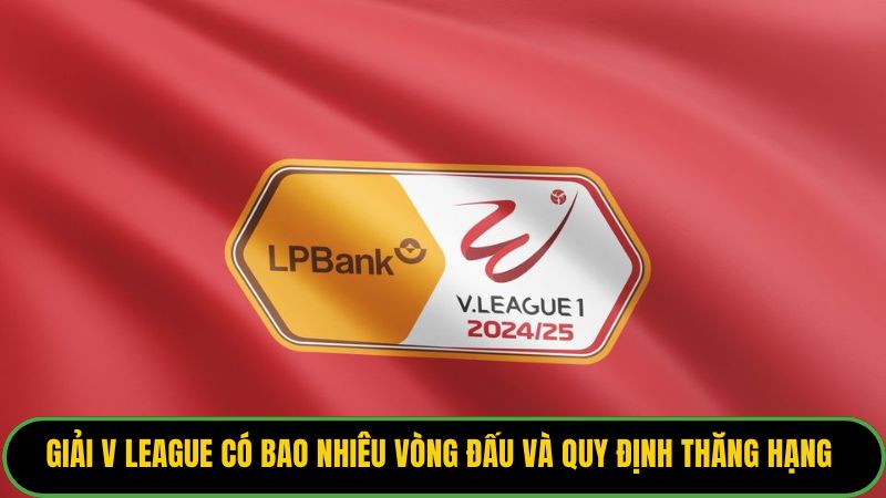 Giải V League Có Bao Nhiêu Vòng Đấu